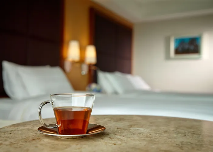 Lotte Отель 5*